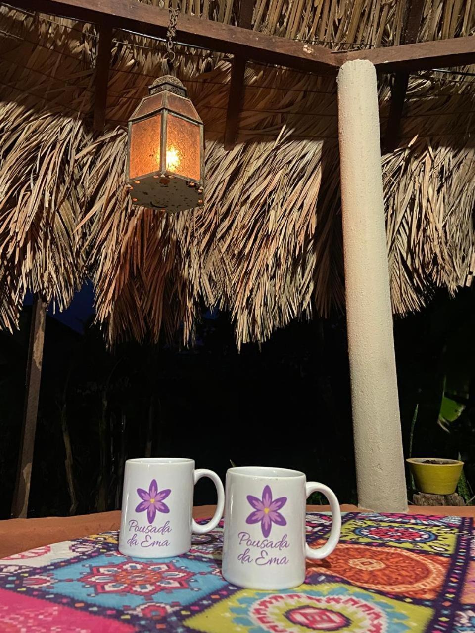 Pousada Canela De Ema Mateiros Dış mekan fotoğraf